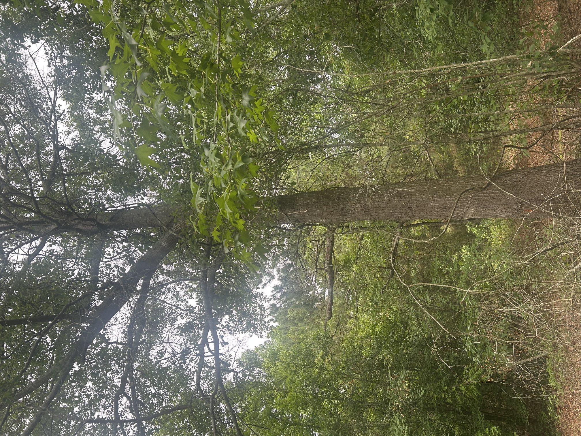 100584000 | Photo 12